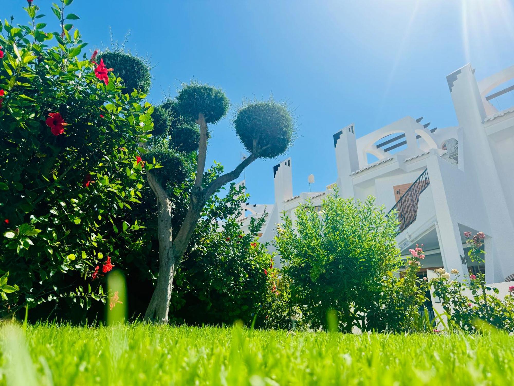 오리후엘라 Contemporary House In Cabo Roig 빌라 외부 사진